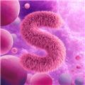 Seva M. avatar