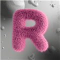 Roman Y. avatar