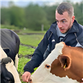 Kristjan S. avatar