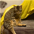 Oleg B. avatar
