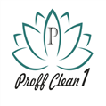 Proff Clean 1 avatar