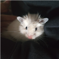 Elīza avatar