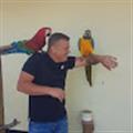 Arturs V. avatar