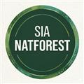 SIA natforest  avatar