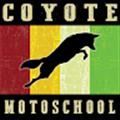 Coyote M. avatar