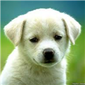Guntars S. avatar