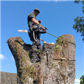 Eduards V. avatar