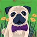 Dzintars S. avatar