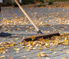 Territooriumi koristamine